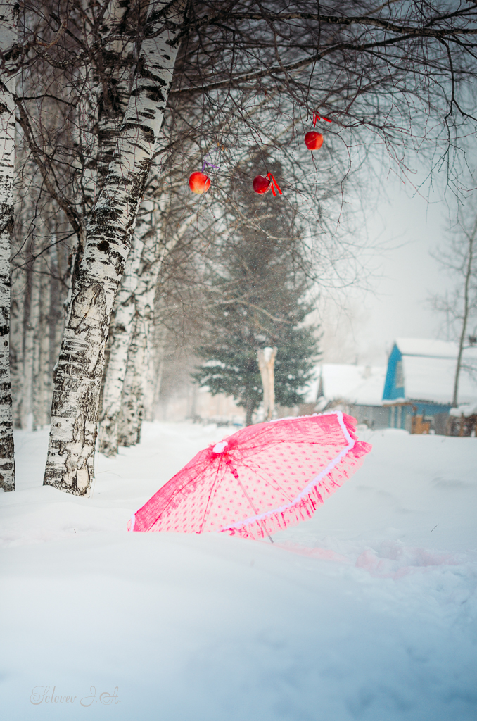 Михаил ღ Ольга